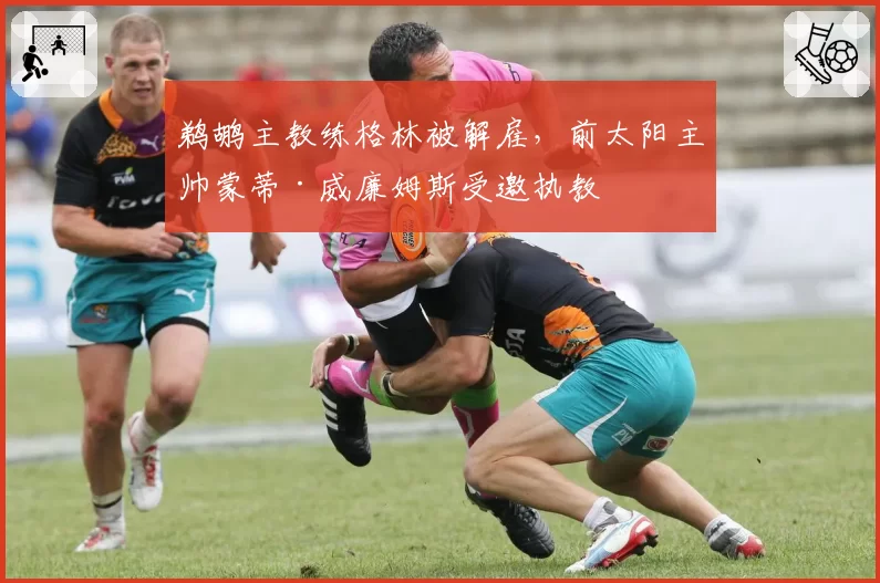 鹈鹕主教练格林被解雇,前太阳主帅蒙蒂·威廉姆斯受邀执教