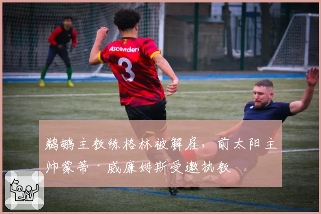 鹈鹕主教练格林被解雇,前太阳主帅蒙蒂·威廉姆斯受邀执教