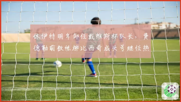 休伊特明年卸任戴维斯杯队长，费德勒前教练柳比西奇成头号继任热门